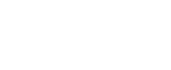 Dr Dermis
